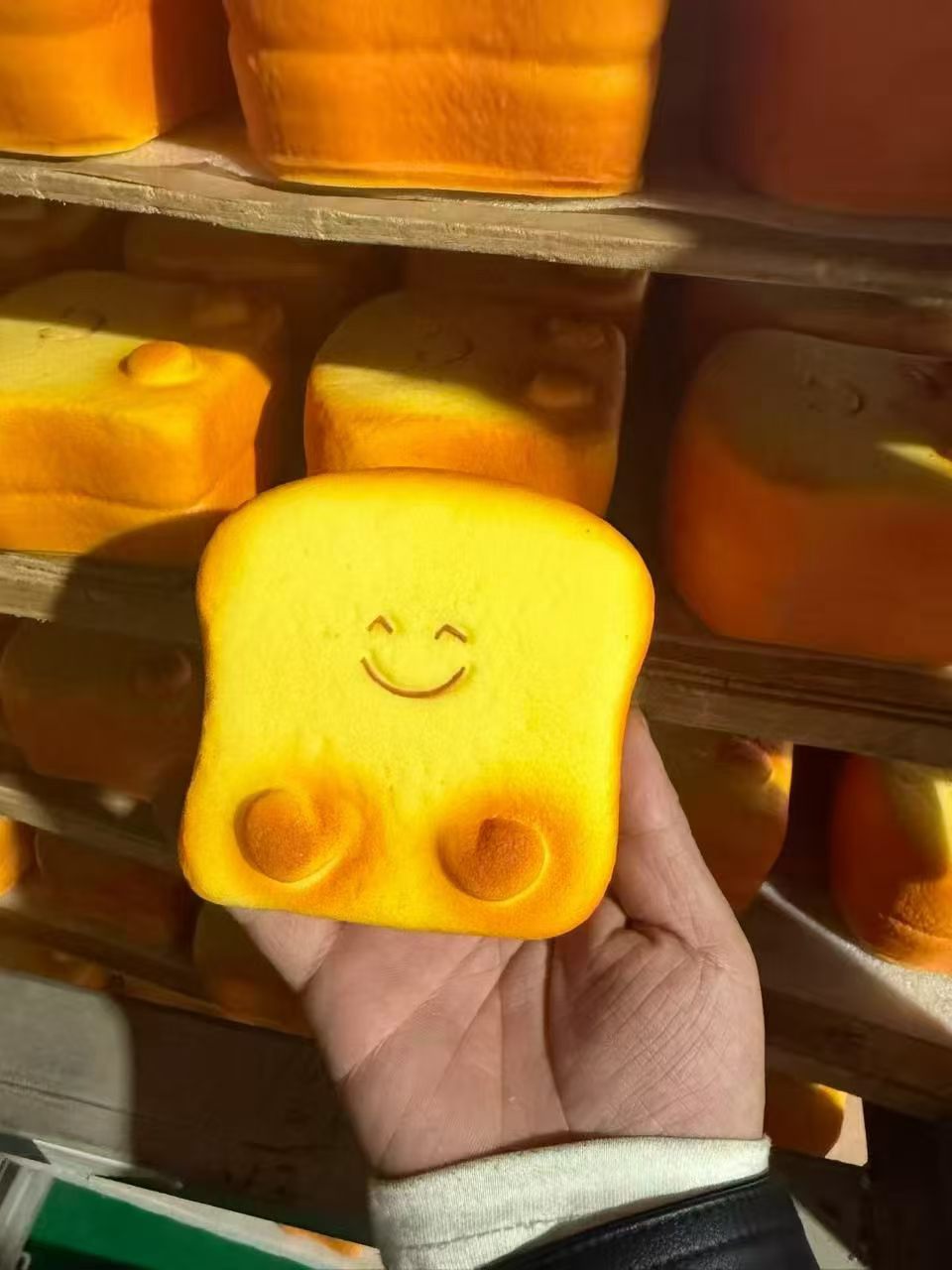 cat squishy toy